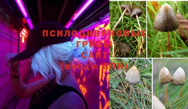 гашишное масло Медвежьегорск