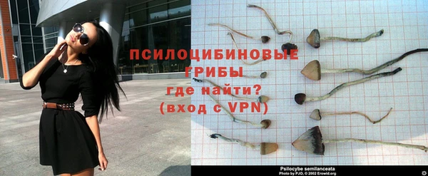 первитин Мегион